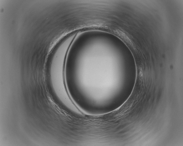 X0000067950676200604131436