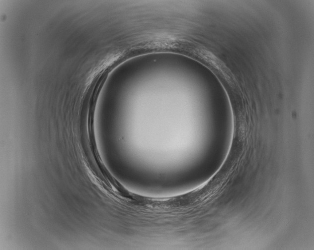 X0000067950677200604131436