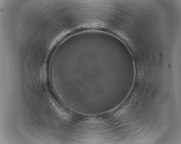 X0000067950678200604131436