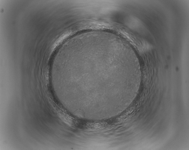 X0000067950679200604131436