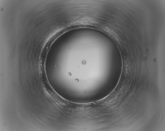 X0000067950680200604131436