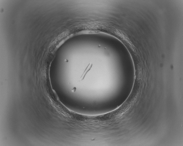 X0000067950681200604131436