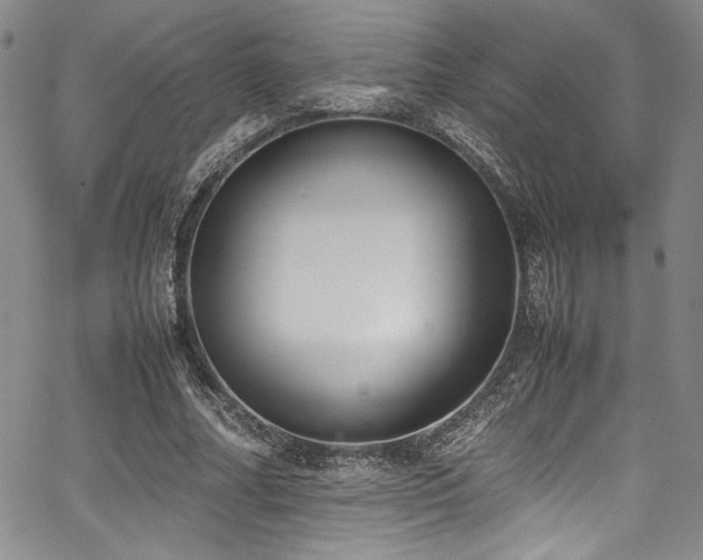 X0000067950682200604131436