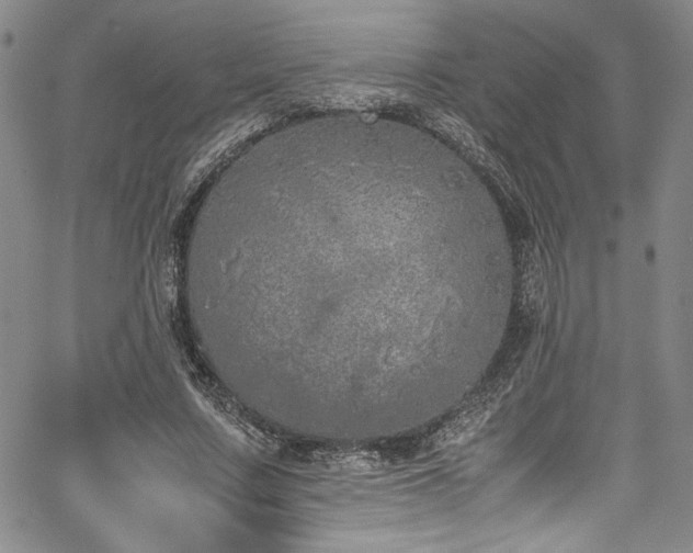 X0000067950683200604131436