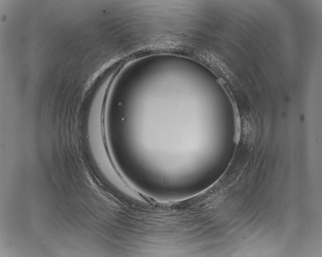 X0000067950684200604131436