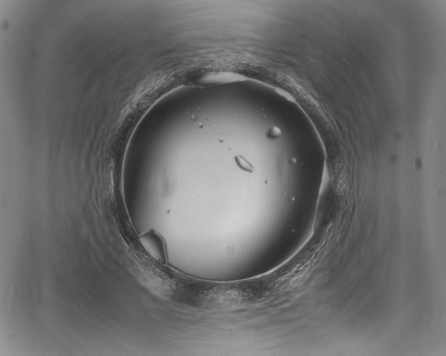 X0000067950685200604131436