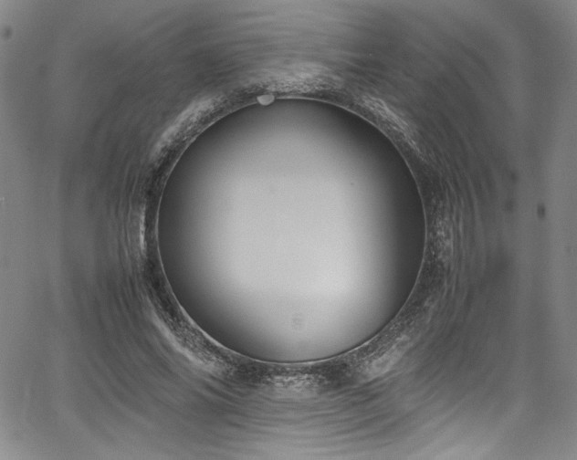 X0000067950686200604131436