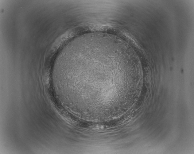 X0000067950687200604131436