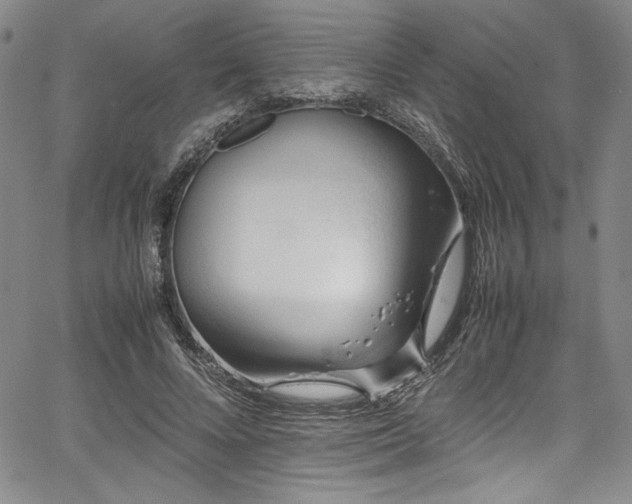 X0000067950688200604131436