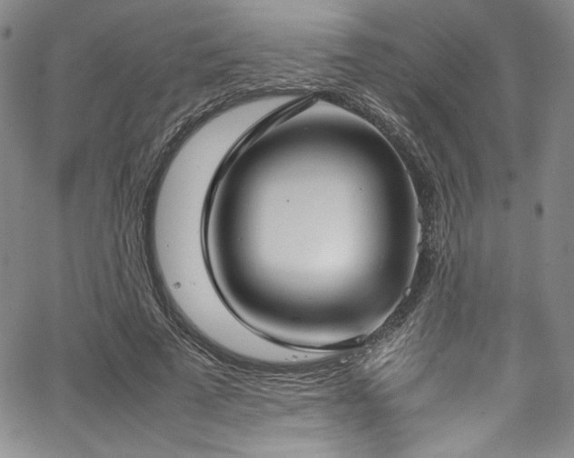 X0000067950689200604131436