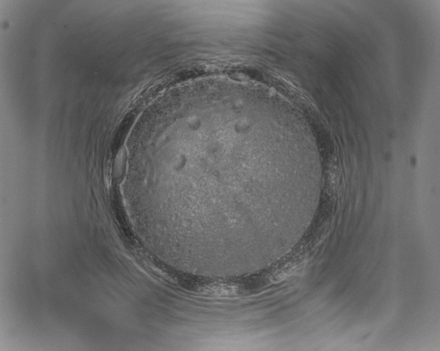 X0000067950691200604131436