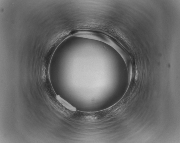 X0000067950692200604131436