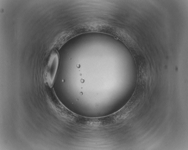 X0000067950694200604131436