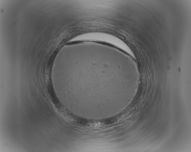 X0000067950695200604131436