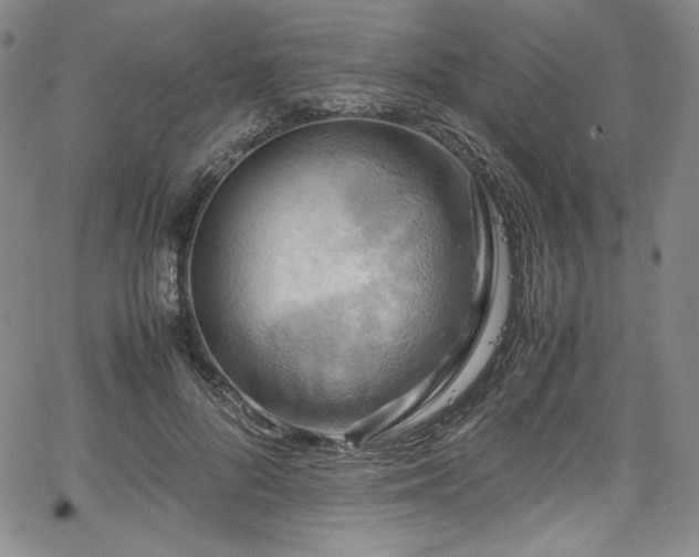 X0000067950696200604131436