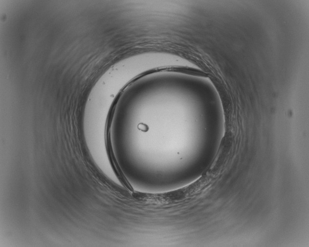 X0000067950697200604131436