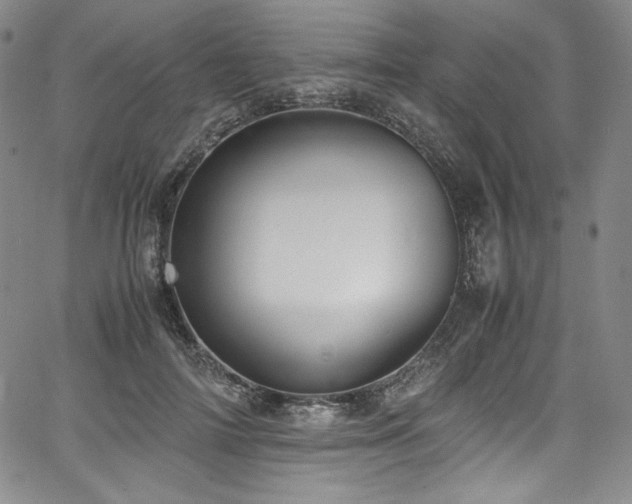 X0000067950698200604131436