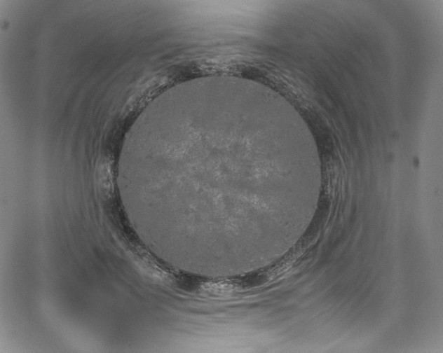 X0000067950699200604131436