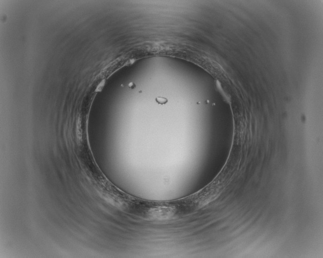 X0000067950700200604131436