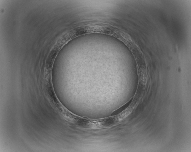 X0000067950701200604131436