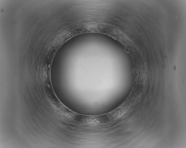 X0000067950702200604131436