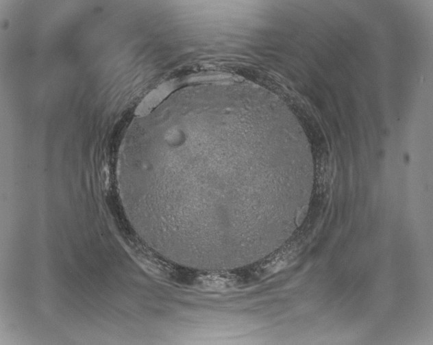 X0000067950703200604131436