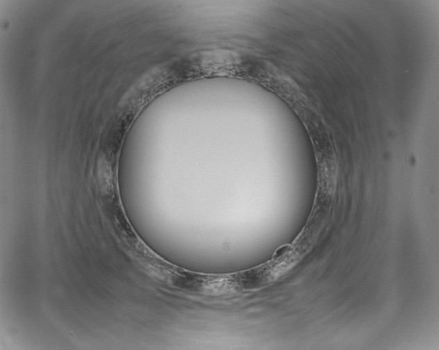 X0000067950705200604131436