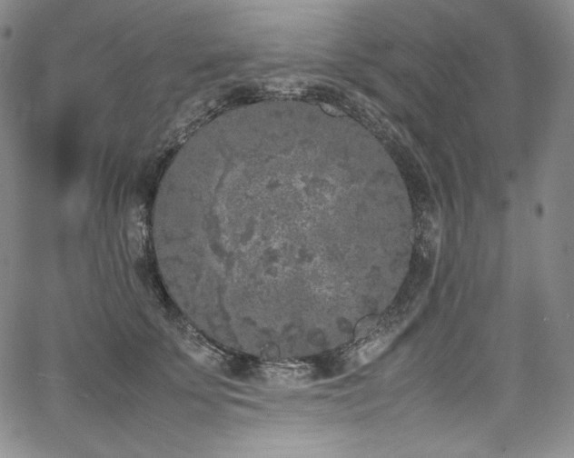 X0000067950707200604131436