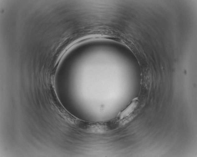 X0000067950708200604131435