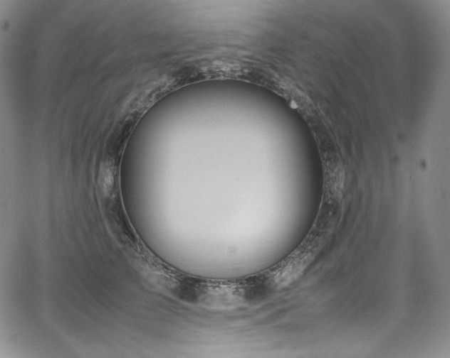 X0000067950709200604131435