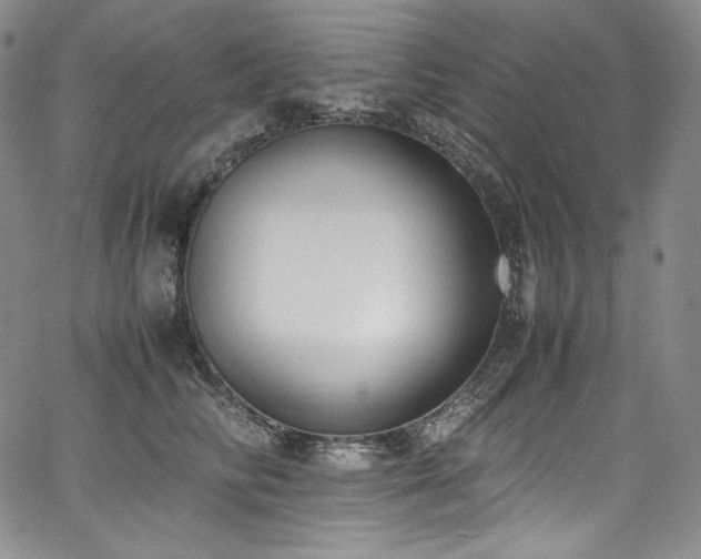 X0000067950710200604131435