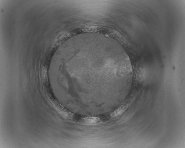 X0000067950711200604131435