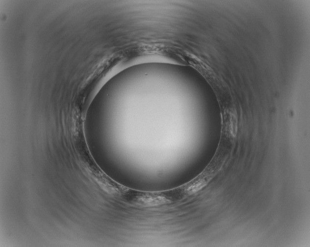 X0000067950712200604131435