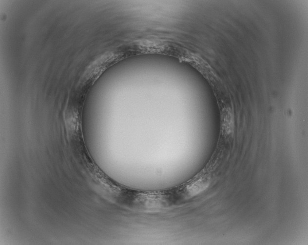 X0000067950713200604131435