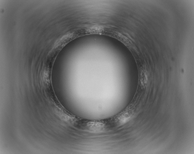 X0000067950714200604131435