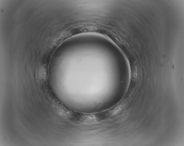 X0000067950715200604131435