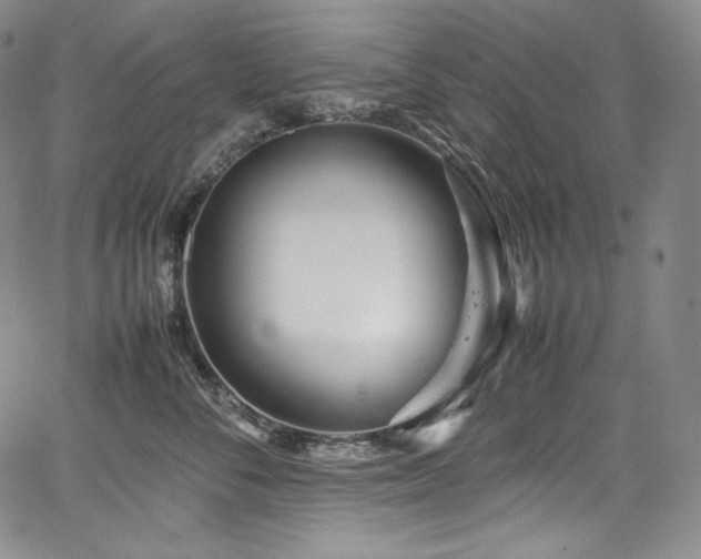 X0000067950716200604131435