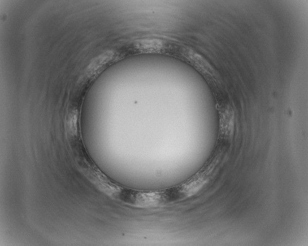 X0000067950717200604131435