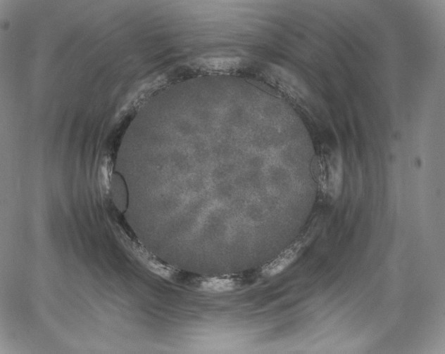 X0000067950718200604131435