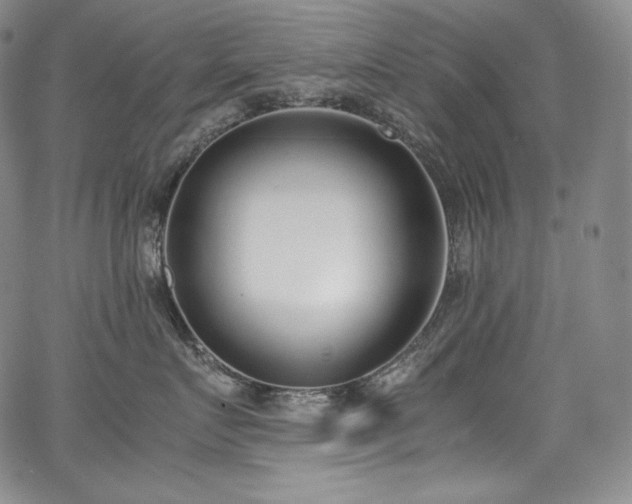 X0000067950719200604131435