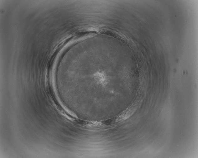 X0000067950720200604131435