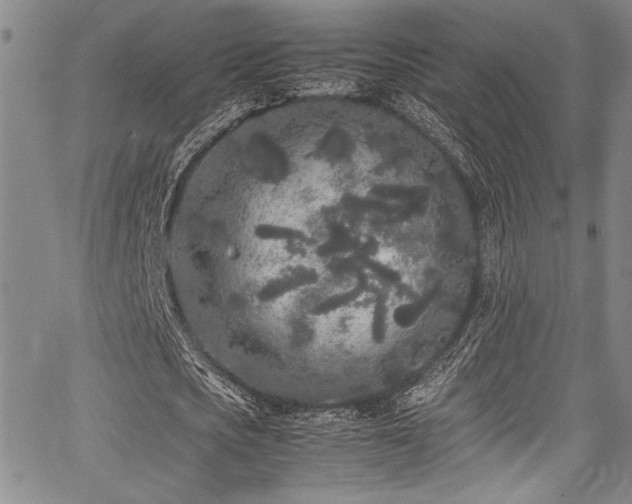 X0000067950721200604131435