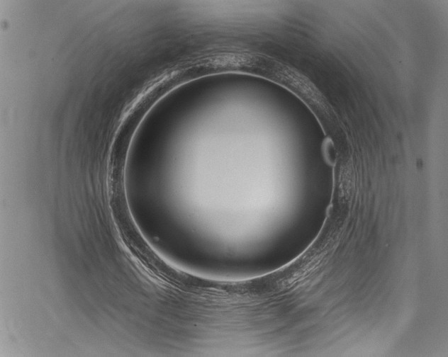 X0000067950722200604131435