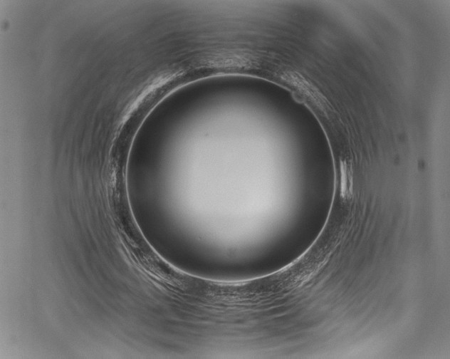 X0000067950723200604131435