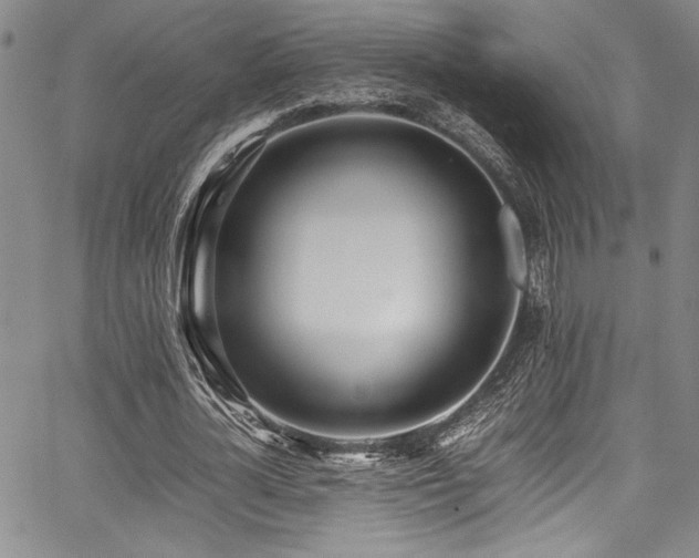 X0000067950724200604131435