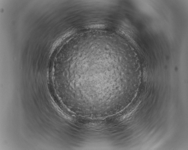 X0000067950725200604131435