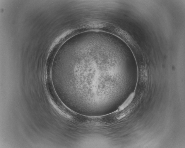 X0000067950726200604131435