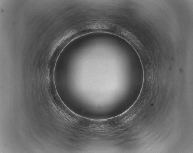 X0000067950727200604131435