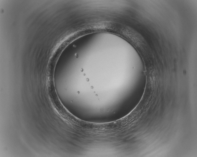 X0000067950728200604131435