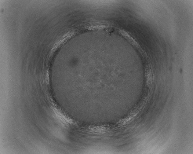 X0000067950729200604131435